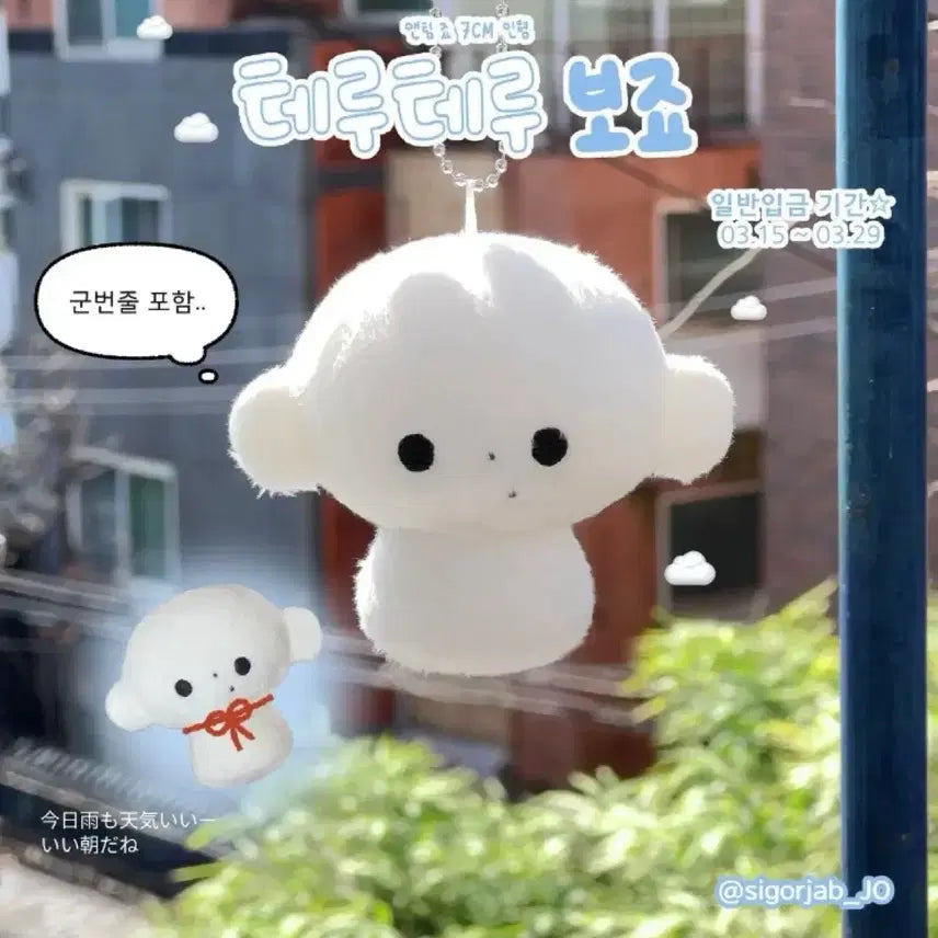[BUNJANG] ENHYPEN Jay Teruteru Bozu Doll / 앤팀 죠 인형 테루테루 보죠