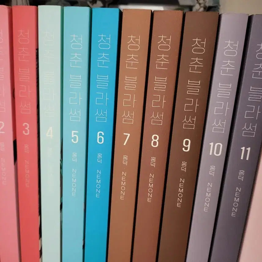 [BUNJANG] Cheongchun Blossom Complete Set with Special Extras / 급전) 청춘블라썸 전권 특전포함