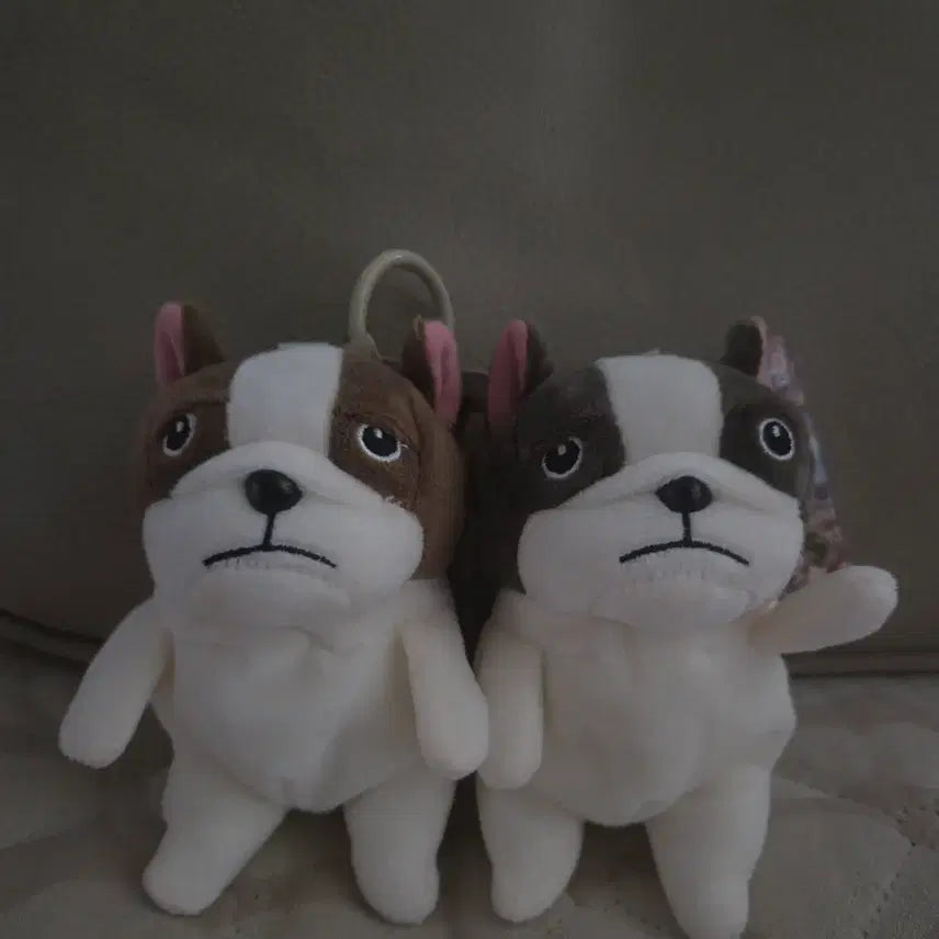 [BUNJANG] French Bulldog Puppy Doll Keychain / 새상품:)프렌치 불독 강아지 인형키링