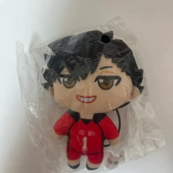 [BUNJANG] Haikyuu!! Tetsuro Kuroo Gacha Doll (Sealed) / 하이큐 쿠로오 테츠로 가챠 인형 미개봉