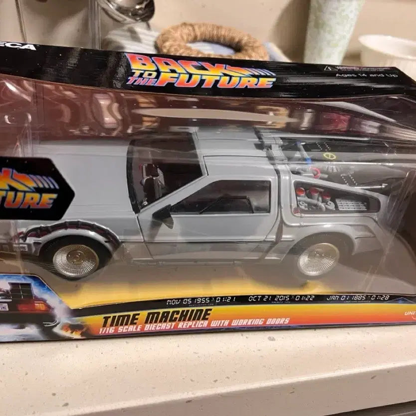[BUNJANG] NECA Back to the Future DeLorean 1/16 Scale Diecast Replica / NECA 백투더퓨처 드로리언 피규어