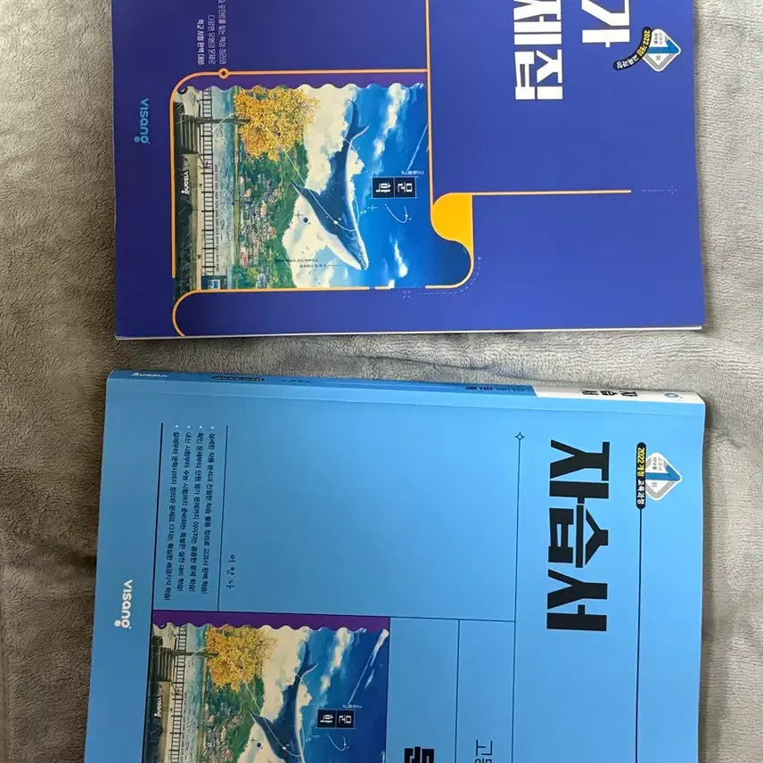 [BUNJANG] High School Literature Textbook & Workbook Set / 평가 문제집/자습서 고등학교 문학 2권
