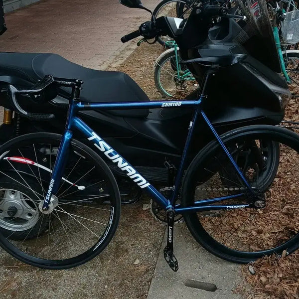 [BUNJANG] Tsunami Chameleon Size L Bicycle / 쓰나미 급처
