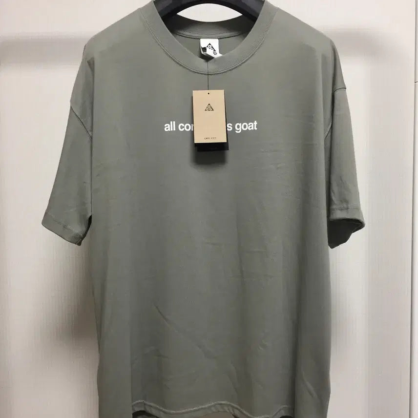 [BUNJANG] Nike ACG Goat T-Shirt Dark Stucco XXL / <새상품> 나이키 ACG goat 반팔 티셔츠 다크스투코컬러 XXL(110)