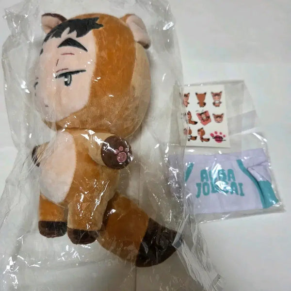 [BUNJANG] Haikyu!! Matsukawa Issei Anime Plush Doll / 여우 마츠카와 맛층 세이죠 하이큐 속성 솜인형