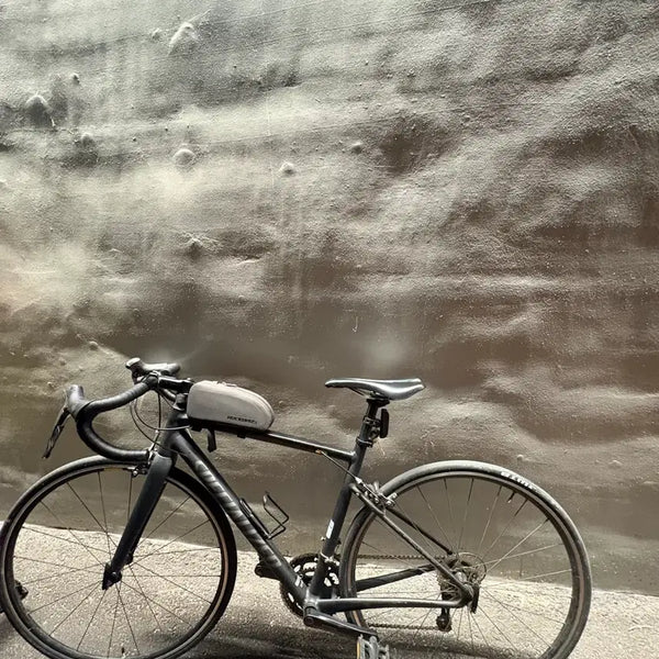 [BUNJANG] Specialized Allez E5 Road Bike / 스페셜라이즈드 알레e5(네고 가능)