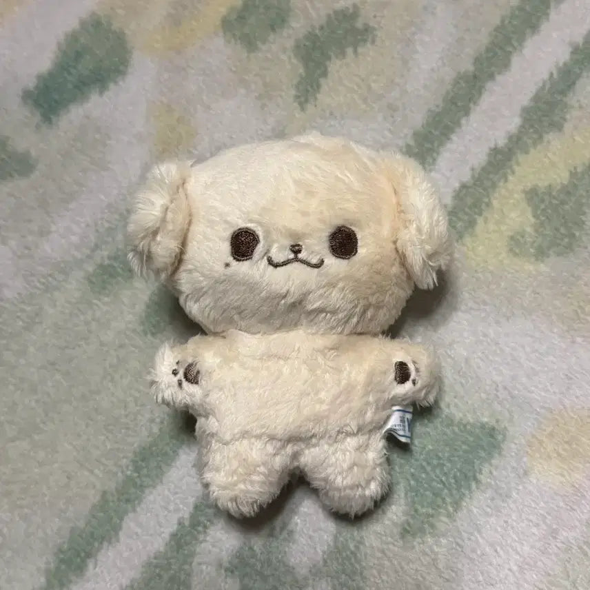 [BUNJANG] NCT Jeno Kongjjene 10cm Doll / NCT 제노 콩쩬 10cm 인형