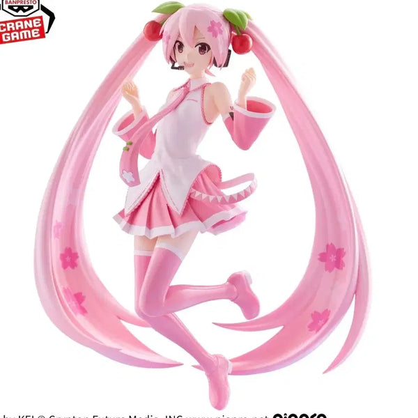 [BUNJANG] Banpresto Evolve Hatsune Miku Sakura Miku Figure (Sealed) / [미개봉]반프레스토 반다이 이볼브 하츠네 미쿠 사쿠라 미쿠 피규어