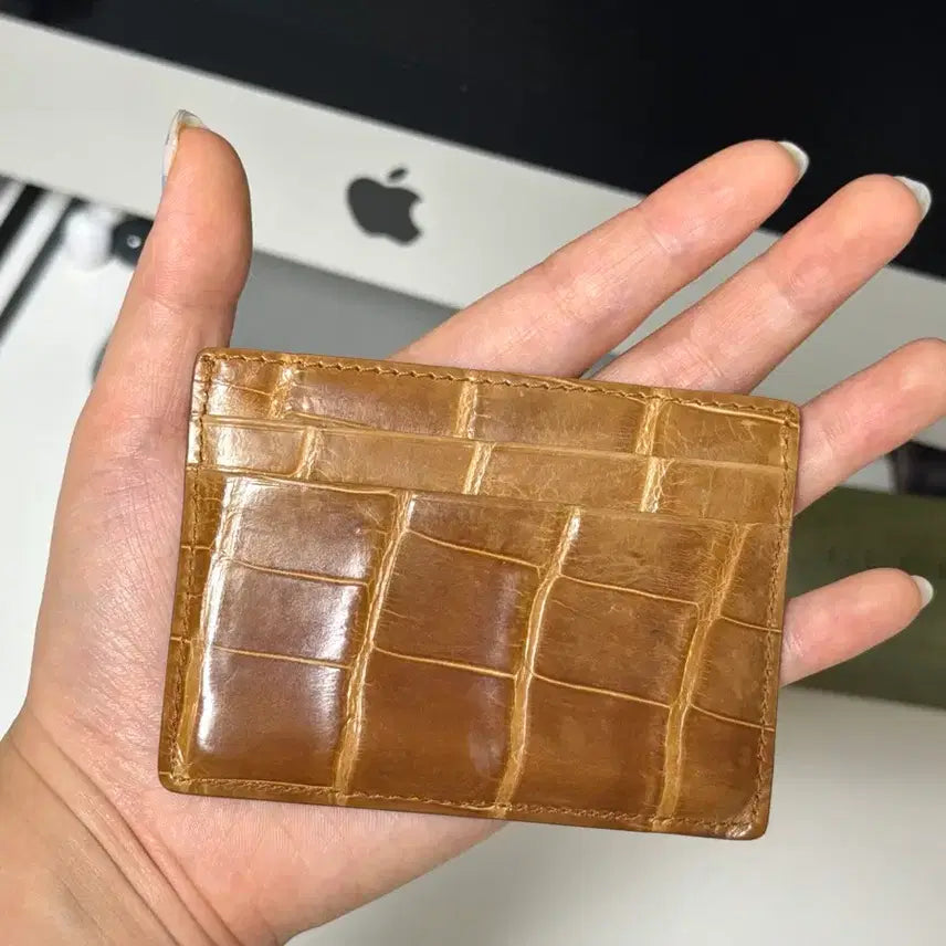[BUNJANG] Colombo Crocodile Leather Card Holder (Full Set) / 콜롬보 카드지갑 (풀구성)