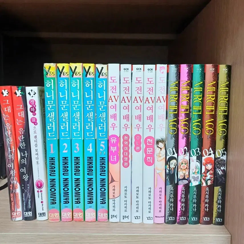 [BUNJANG] Bundle Set of 18 Manga Volumes / 만화책 일괄