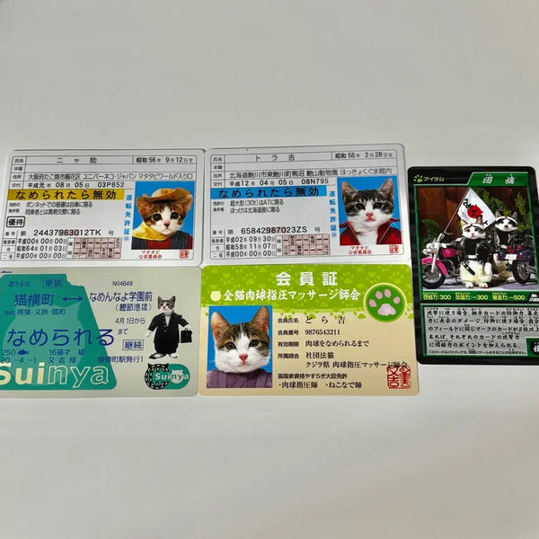 [BUNJANG] Nameneko Card Bundle Set / 나메네코 카드