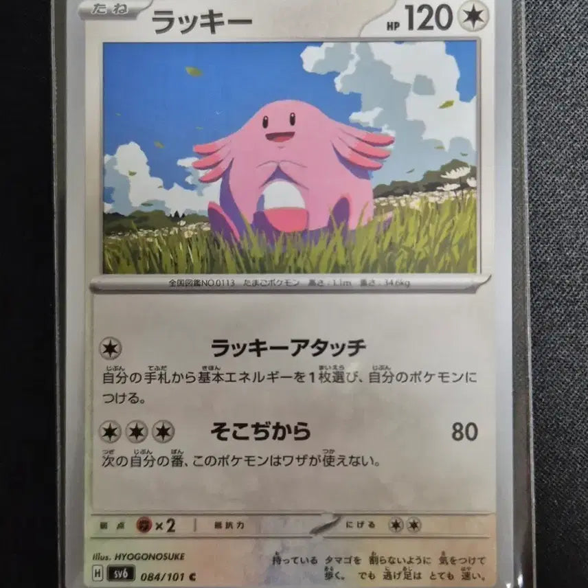 [BUNJANG] Pokemon Card Lucky SV6 084/101 C / 포켓몬카드 럭키 SV6 084/101 C