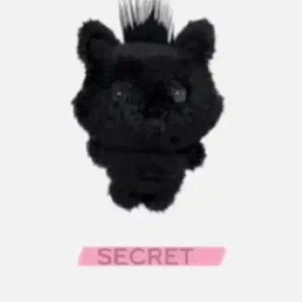 [BUNJANG] Sioning Color Doll Secret Black / 시오닝 컬러돌 시크릿 블랙