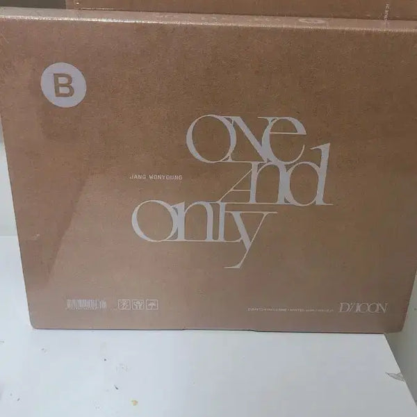 [BUNJANG] IVE Jang Wonyoung Dicon One and Only Photobook B Sealed / 디아이콘 장원영 one and only 포토북 B IVE 아이브 미개봉