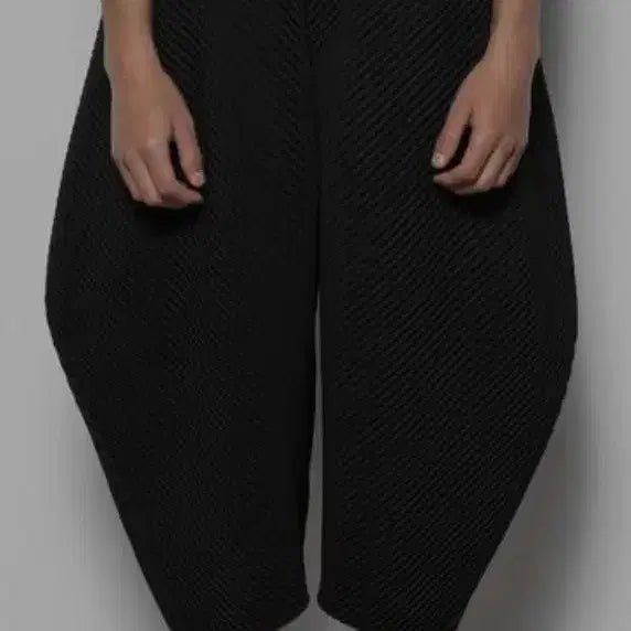 [BUNJANG] Homme Plissé Issey Miyake Monkey Pants / 옴므플리세 몽키바지