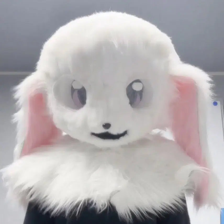 [BUNJANG] Rabbit Fursuit Head / 퍼슈트 판매합니다