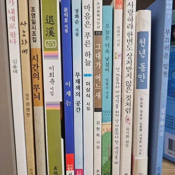 [BUNJANG] Poetry Collection Bundle Sale / 시집일괄판매