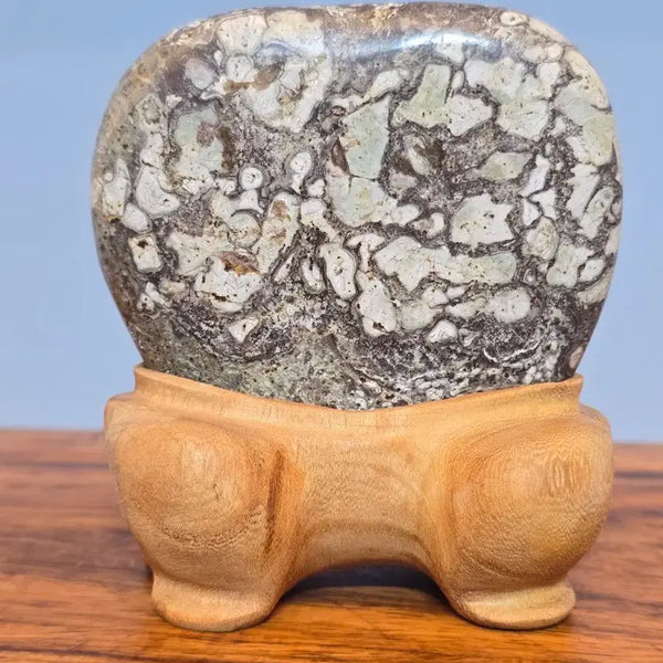 [BUNJANG] Jeongseon Flower Stone / 26072102 꽃이 활짝 잘핀 청송 꽃돌 수석 팝니다