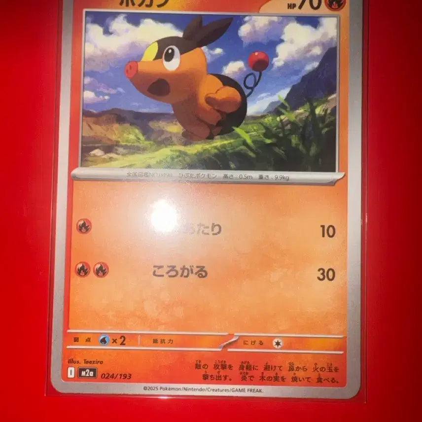 [BUNJANG] Pokemon Card Torkoal 024/193 / 포켓몬카드 뚜꾸리 일판