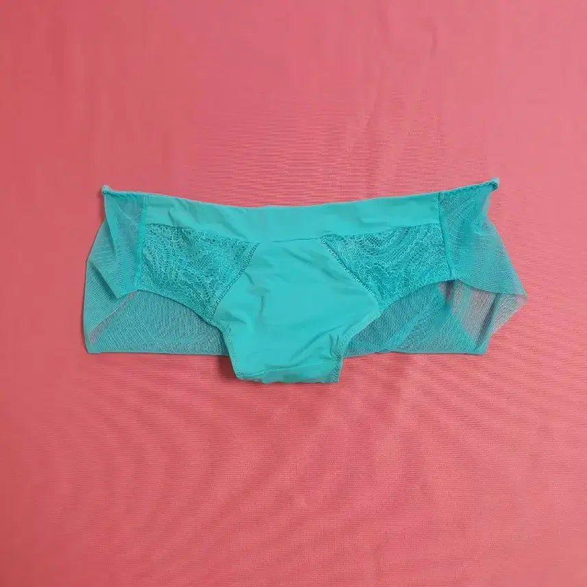 [BUNJANG] Mint Lace Women's Panties / 여성팬티.중고.세탁완료