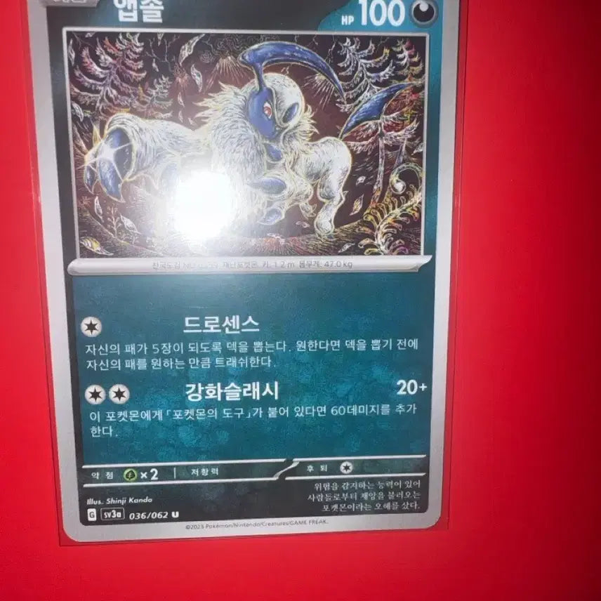 [BUNJANG] Pokemon Card Absol Shinjikanda Illustration Rare Card / 포켓몬 카드 앱솔 신지칸다 일러스트