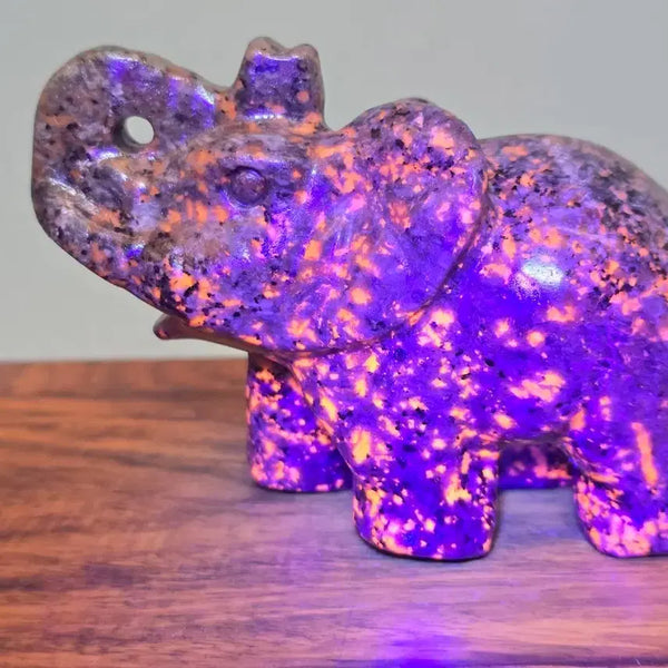 [BUNJANG] Yooperlite Elephant Stone Carving / 26072108 신비로운 광물 요퍼라이트 코끼리 수석 팝니다