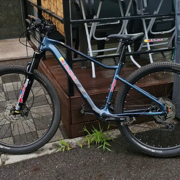 [BUNJANG] 2022 Cello Chrono XC Pro30 Full Carbon MTB / 22년식 첼로 크로노 xc pro30 풀카본 엠티비