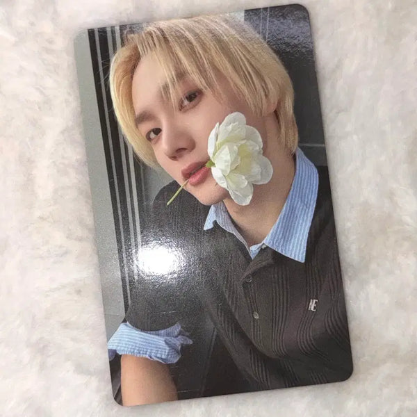 [BUNJANG] BOYNEXTDOOR Sung-ho BOYNEXTDOOR x Weverse POB Photocard / 보넥도 성호 포카 디액션 위버스 특전
