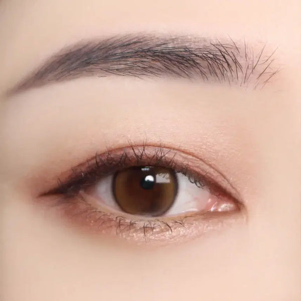 [BUNJANG] Cezanne Brush Eyebrow Pencil 06 Black (Sealed) / 일본 현지에서사온 세잔느브러쉬 아이브로우 펜슬 06 블랙 미개봉