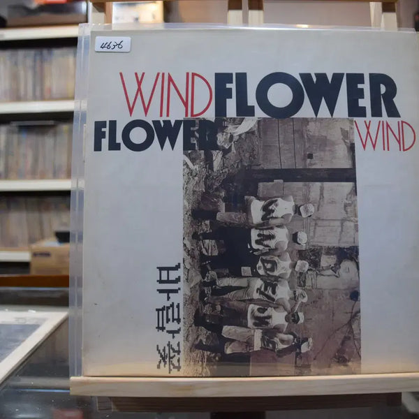[BUNJANG] Seo Taiji Flower Wind Mint: Rain and Loneliness LP / 바람꽃 민트 : 비와외로움