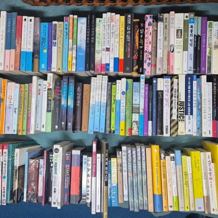 [BUNJANG] Used Books: Novels, Development Books, and More / 중고도서B-소설 개발서 등(가격 다름)