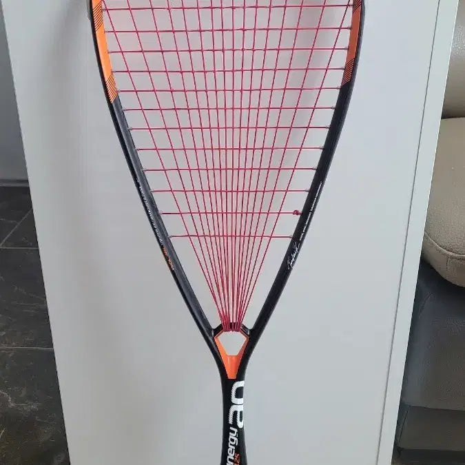 [BUNJANG] Tecnifibre Dynamix AP 125 Squash Racquet / 테크니화이버 다이너지AP 125 스쿼시 라켓