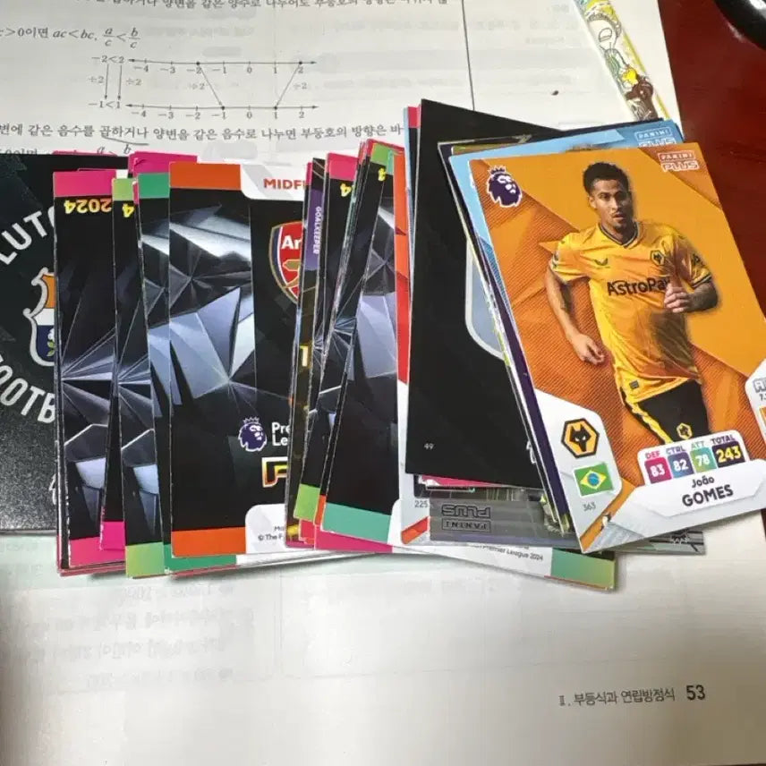[BUNJANG] Panini Premier League Soccer Card Set / 파니니 프리미어리그 축구 카드 세트