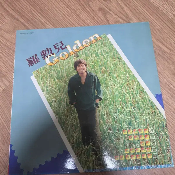 [BUNJANG] Na Hoon-a Golden LP / 나훈아 Golden LP