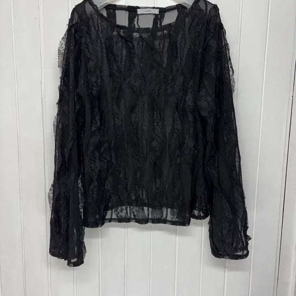 [BUNJANG] Black Lace See-Through Long-Sleeve Blouse / 블랙 레이스 시스루 긴팔 블라우스 여성F ㅡ0721