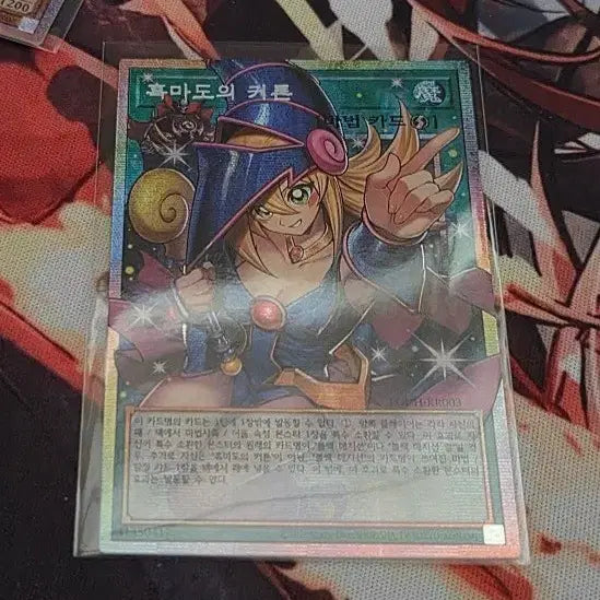 [BUNJANG] Dark Magician's Curse Card / 흑마도의 커튼 오버프싴