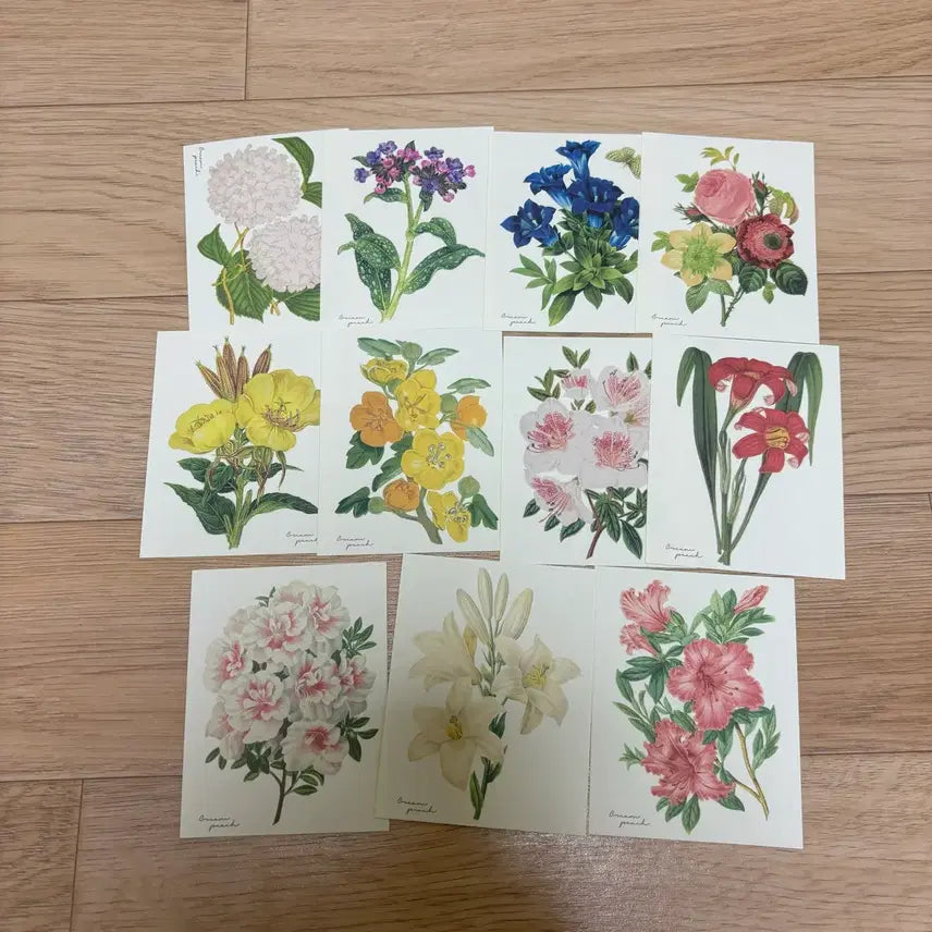 [BUNJANG] Cream Peach Floral Washi Stickers (Die-cut) / 크림피치 꽃 모조지 스티커 인스 다꾸 빈티지 럽티지