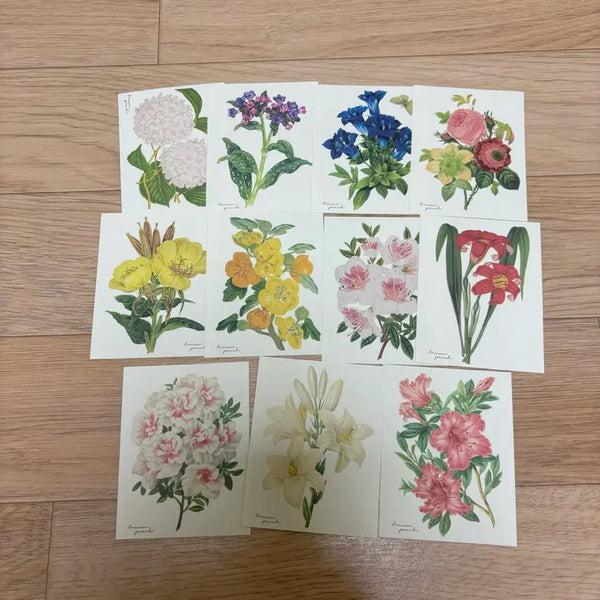 [BUNJANG] Cream Peach Floral Washi Stickers (Die-cut) / 크림피치 꽃 모조지 스티커 인스 다꾸 빈티지 럽티지