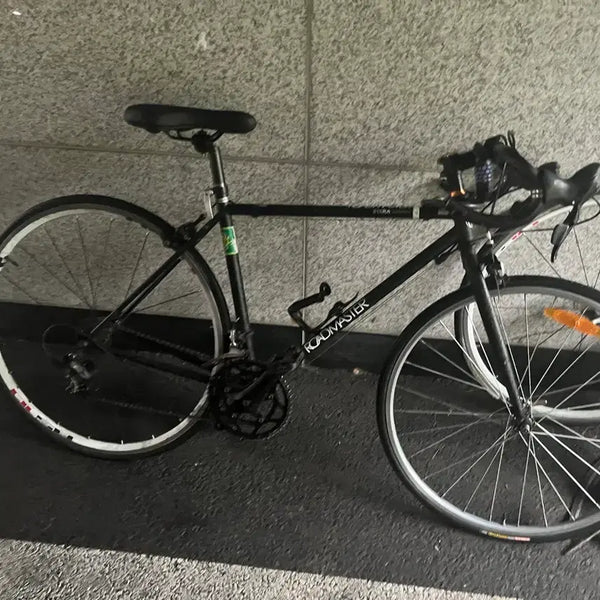 [BUNJANG] Promaster 816ra Road Bike / (오늘만)프로마스터 816ra 로드자전거 설명 필수!