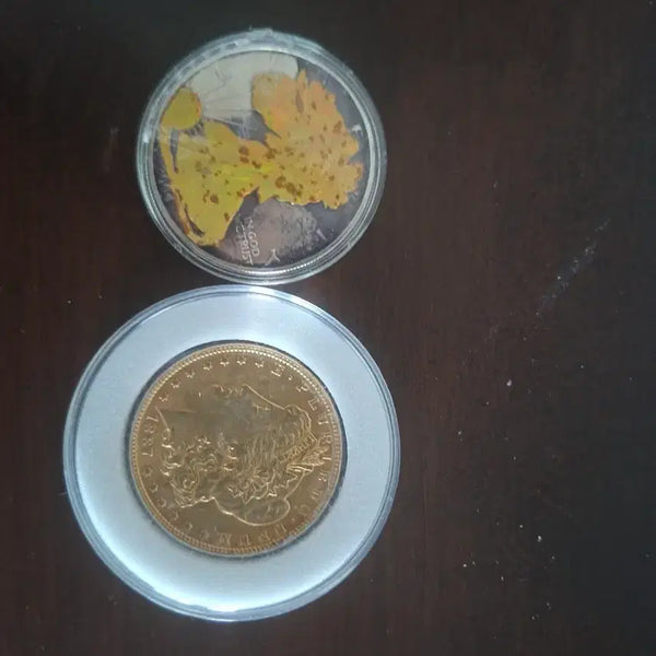 [BUNJANG] Rare Silver Eagle Coin & Gilded Morgan Dollar Coin / 희귀 은화 전국에서 가장 싸게 팝니다