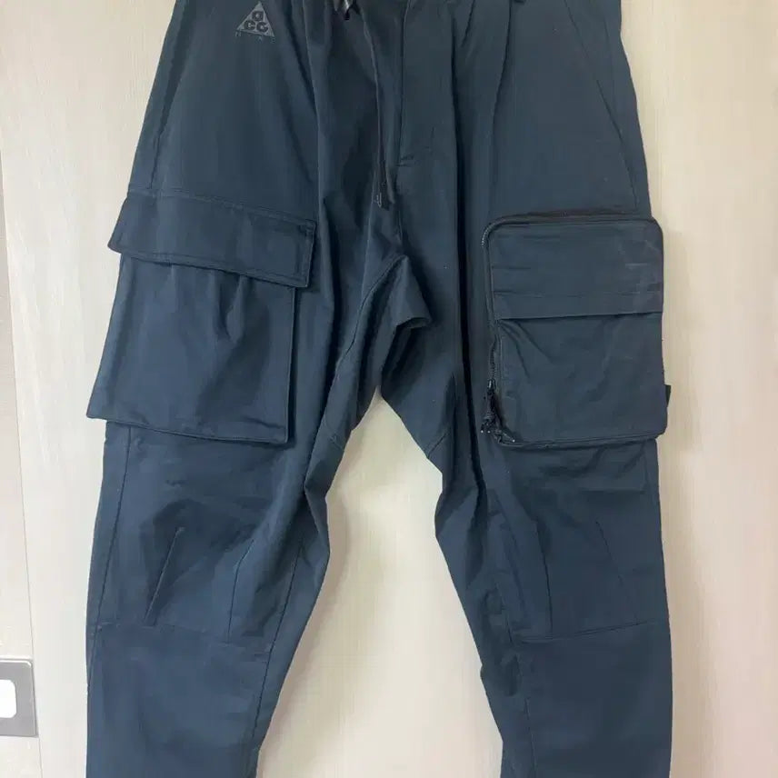 [BUNJANG] Nike ACG Cargo Pants Large / 나이키 acg 카고팬츠 라지 사이즈 판매합니다