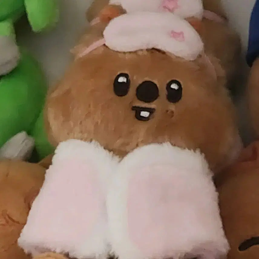 [BUNJANG] Stray Kids Han QUOKKA Plush / 스키즈 한 한쿼카 스트레이키즈 이불 스키주 급처