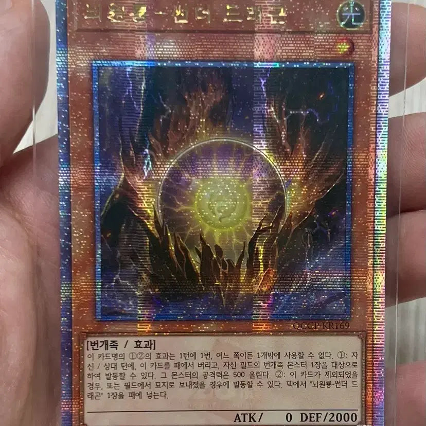 [BUNJANG] Thunder Dragon Quashic / 뇌원룡 - 썬더드래곤 쿼시크