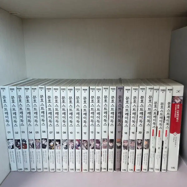 [BUNJANG] Bungo Stray Dogs Manga Volumes 1-21, Dead Apple Manga Volumes 1-3, and Storm Bringer Novel / 문스독 문호 스트레이독스 만화책 판매합니다.