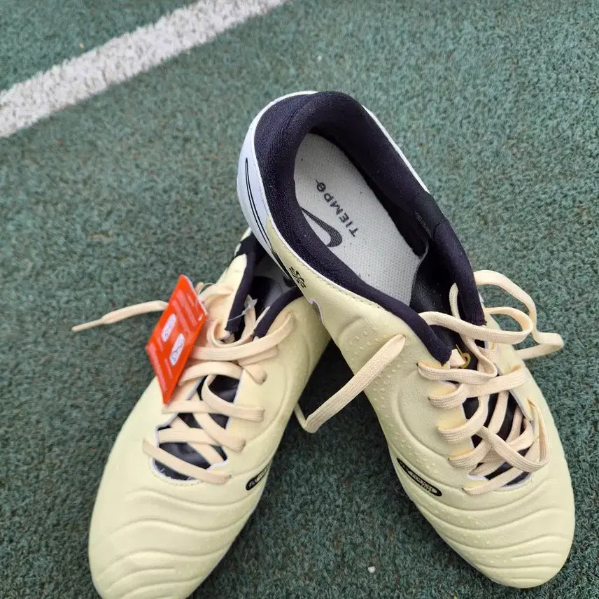 [BUNJANG] Nike Tiempo Legend 10 Academy FG/MG Soccer Cleats / 나이키 티엠포 레전드 10 아카데미 FG/MG 275mm(새상품)