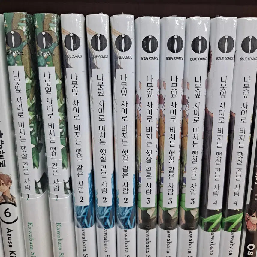[BUNJANG] Sunshine Through the Leaves 1-4 Sealed Comic Set / 나뭇잎 사이로 비치는 햇살 같은 사람 1-4 미개봉 만화짱많아 프로안전상점