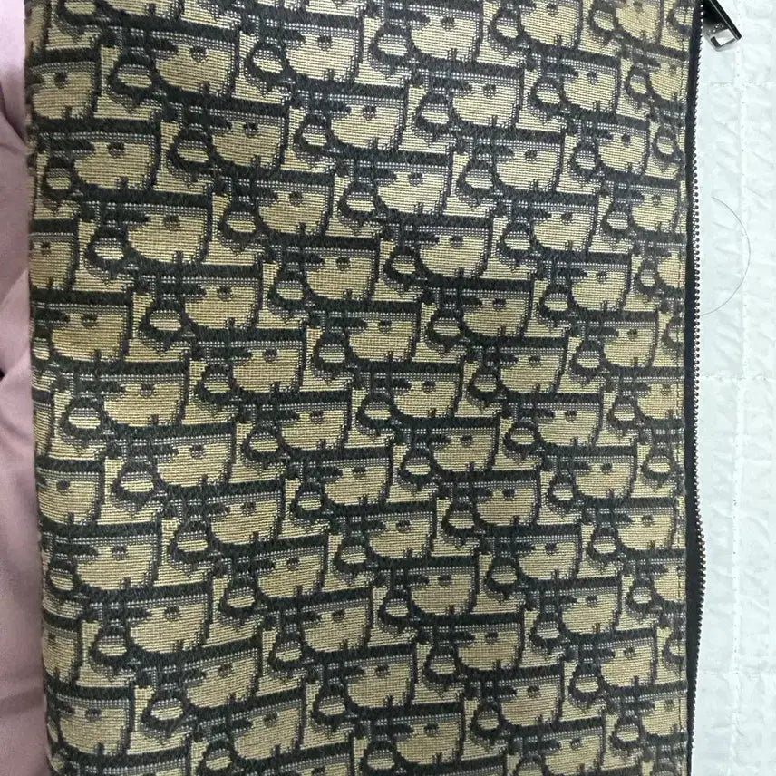 [BUNJANG] Dior Clutch Bag / 디올 클러치백