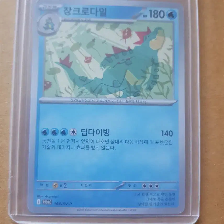 [BUNJANG] Gyarados Pokemon TCG Promo Card / 장크로다일 포켓몬스터 프로모 카드