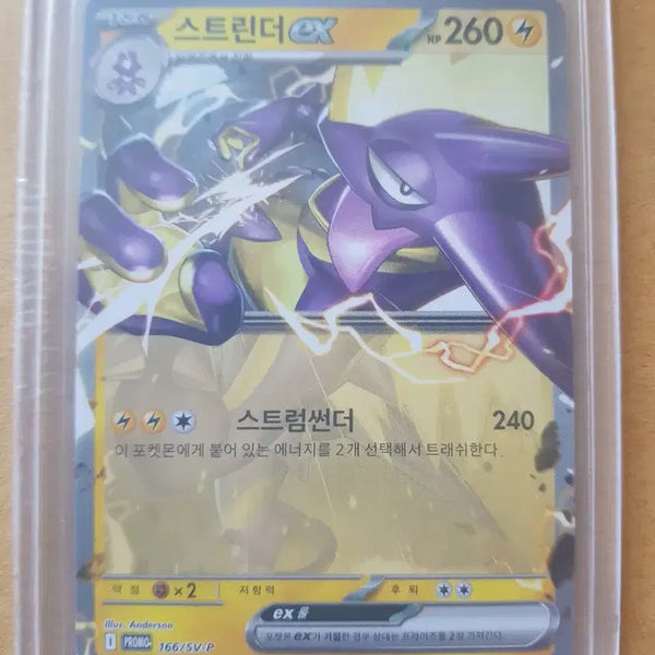 [BUNJANG] Striders EX Pokemon Promo Card / 스트린더ex 포켓몬스터 프로모 카드
