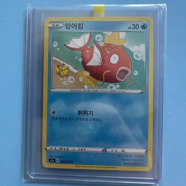[BUNJANG] Kanameya Magikarp Graded Card / 등급용 카나헤이 잉어킹 판매